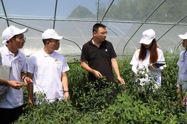 实践团参观蔬菜大棚。天游ty8线路检测中心官网供图